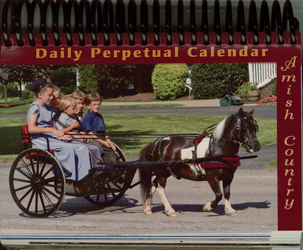 Daily Perpetual Calendar Amish Country Living Waters Book Toy Store